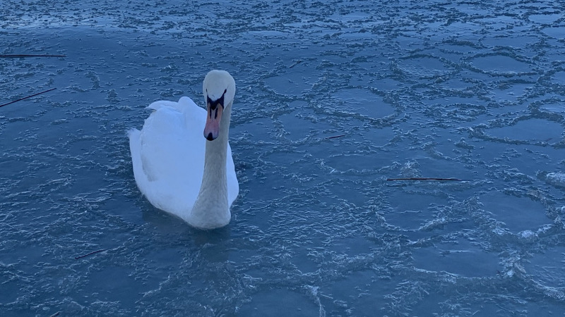 A vendégéjszakák száma 5,2 százalékkal, a bevétel 3,3 százalékkal nőtt februárban a turisztikai szálláshelyeken