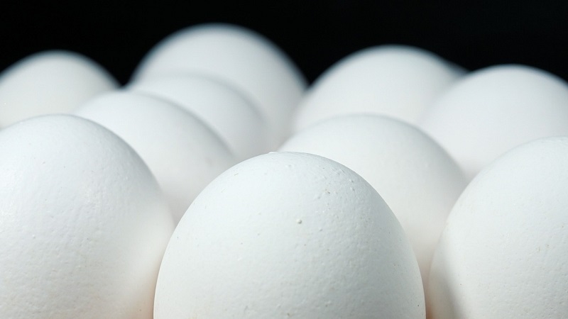 Tavaszi ellenőrzések: „összességében kedvezőek” a Nébih első tapasztalatai