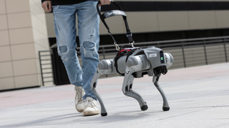 Ez a beszélő robot nyugdíjazhatja a vakvezető kutyákat