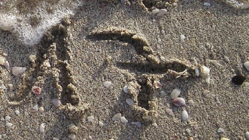 2026. április 17. – Információk, hírek vállalkozóknak