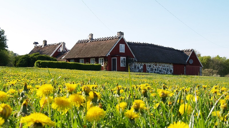 Megjelentek a tanyafejlesztési pályázatok felhívásai