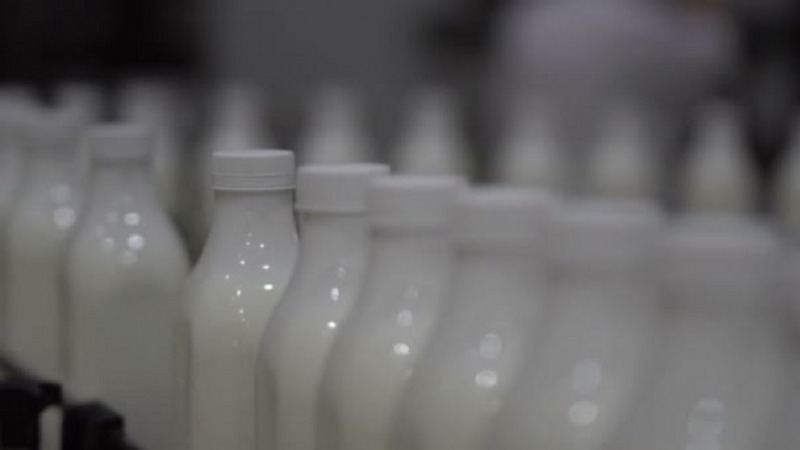 Indulnak az Agrárkamara tejipari gyakorlati napjai