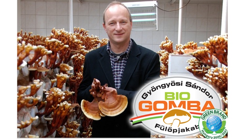 GREEN BRAND lett a Biogomba