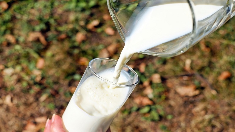 Meghosszabbodik a szarvasmarha tej-állatjóléti felhívás kötelezettségvállalási időszaka