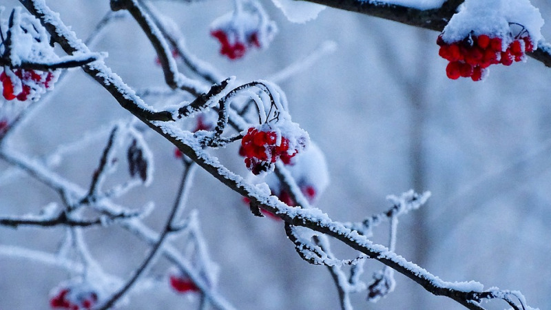 Így védhetők ki a téli munkavégzés veszélyei