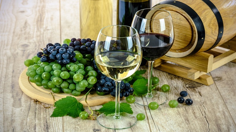 Új bortörvény segíti a szőlő- és bortermelőket