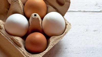 A tojás ára majdnem másfélszeresére nőtt, a napraforgómagé közel felére csökkent 2023-ban