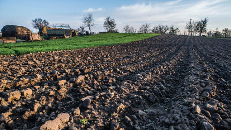 Hamarosan elérhetőek lesznek a vizsgálati eredmények a magyarországi talajok állapotáról
